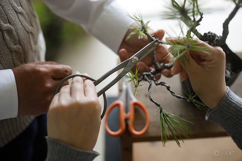 experience-image