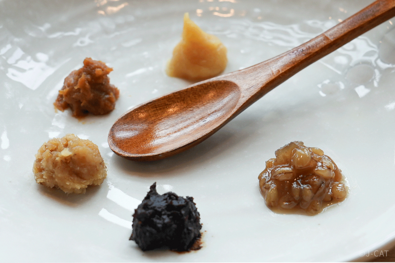 Discover Miso & Koji's Magic Touch at Osaka's Oldest Miso Shop