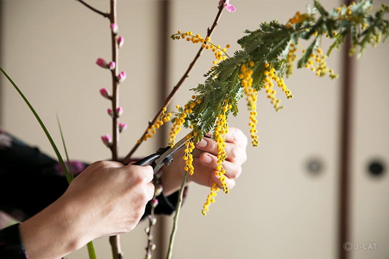 Learn Traditional Ikebana with an Ikenobo Master Inside a Frank