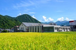 https://images.microcms-assets.io/assets/a061b71b7a084ccfa781f19d8659cbbd/30bc90a06a4944f6b527170cbf1abaf5/en_shiratakishuzo_from_slug.jpg