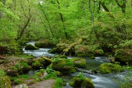 https://images.microcms-assets.io/assets/a061b71b7a084ccfa781f19d8659cbbd/5100fe68dc904a098cc70e68cf8df708/en_foreston_SL%20(3).jpg