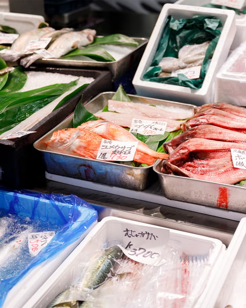 Food & Market Tours in Japan – Tokyo, Kagawa & More
