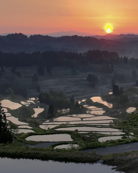 Cultural Experiences in Niigata – Art & City Walks