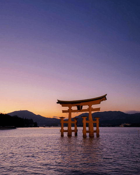 Cultural Experiences in Hiroshima – Tea & Calligraphy