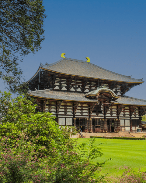 Cultural Experiences in Nara – Sake, Cooking & Kaiseki