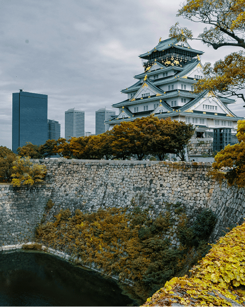 Cultural Experiences in Osaka – Cooking & Architecture