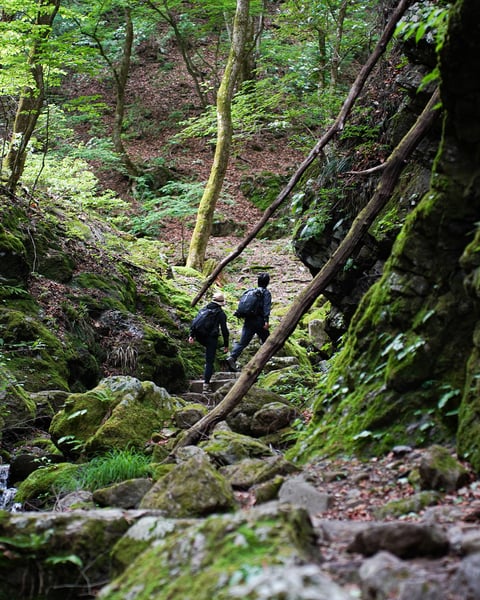 Hiking & Cycling Tours in Japan