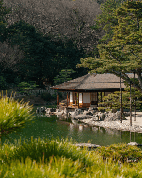 Cultural Experiences in Kagawa – Bonsai & Cruises