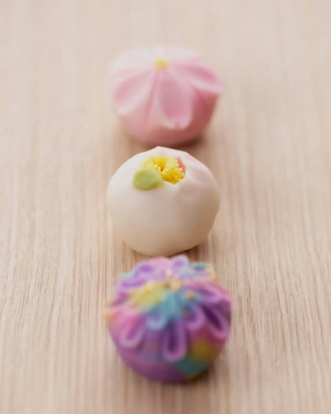 Wagashi-Making Classes in Japan