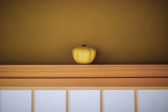 experience-image