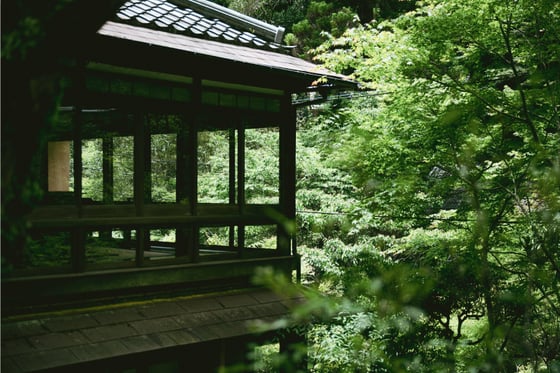 https://storage.otonami.jp/images%2F3677522d-df14-4718-a59b-10aa89c8858c?alt=media