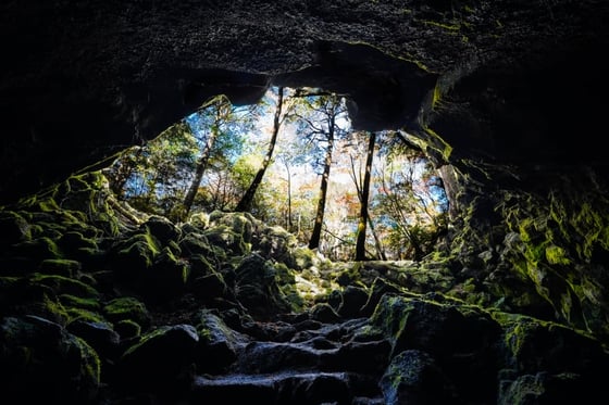https://storage.otonami.jp/images%2F8bd52511-3924-4e8b-8f06-42e9db024327?alt=media