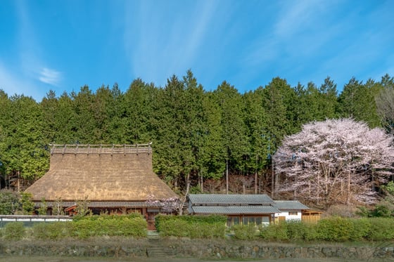 experience-image