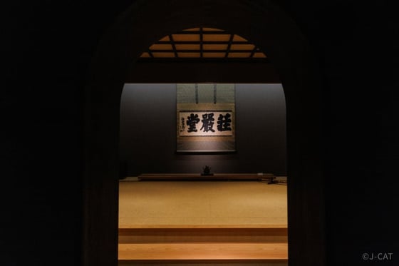 experience-image