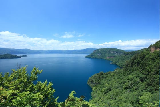 https://storage.otonami.jp/images%2Fd79d5340-0b43-414c-83a2-287b9a70f932?alt=media