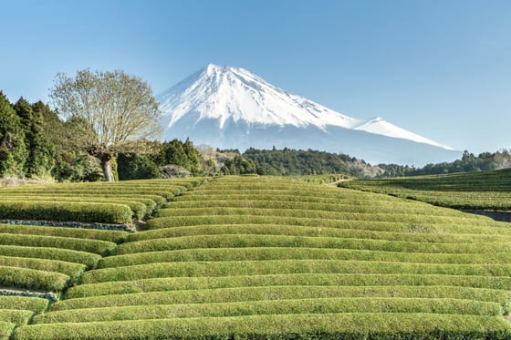 https://storage.otonami.jp/images%2Feb9098b2-9adf-452c-ad49-011f99dc2d69?alt=media