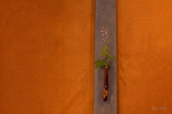 experience-image