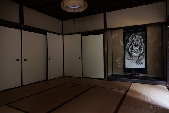 experience-image