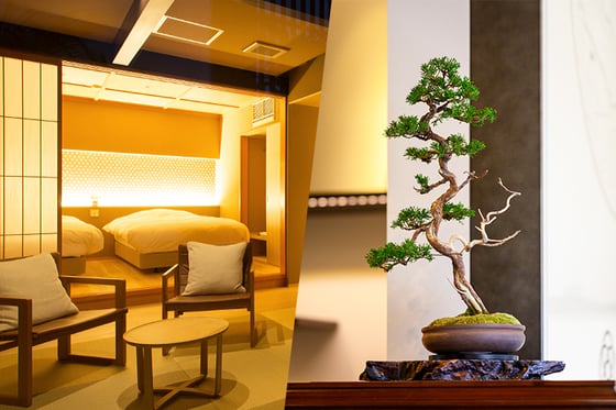 https://storage.otonami.jp/images%2Fen_makinooto-bonsai_thumbnail_98f61517.jpg?alt=media
