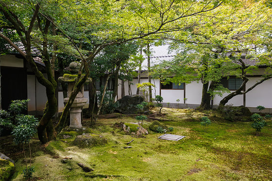 https://storage.otonami.jp/images%2Fen_ninnaji-tea_sub_2_5d6ef811.jpg?alt=media