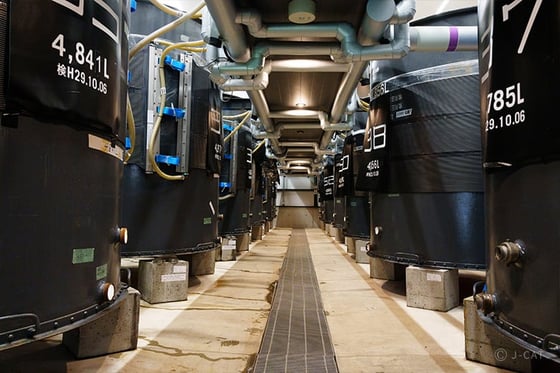 https://storage.otonami.jp/images%2Fen_noguchi-naohiko_sub_1_ef33b20a.jpg?alt=media