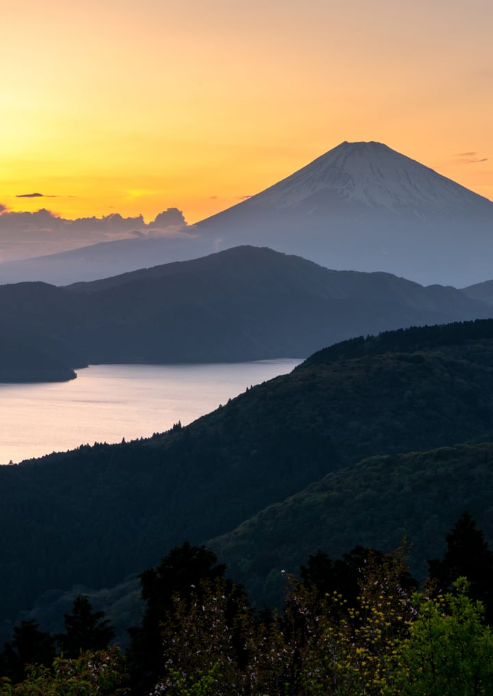 [Experiential Stay] Learn to Make Sushi from a Master Chef on an Overnight Stay at Elegant MONS GORA in Hakone