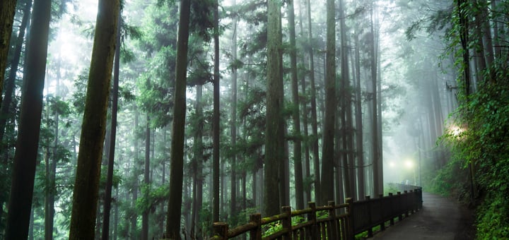 [Experiential Stay] Explore Sacred Mt. Mitake on a Guided Hike and Relax with an Overnight Stay at a Private Riverside Villa
