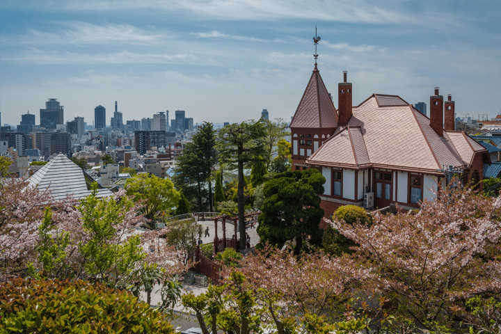 Kyoto-osaka-others