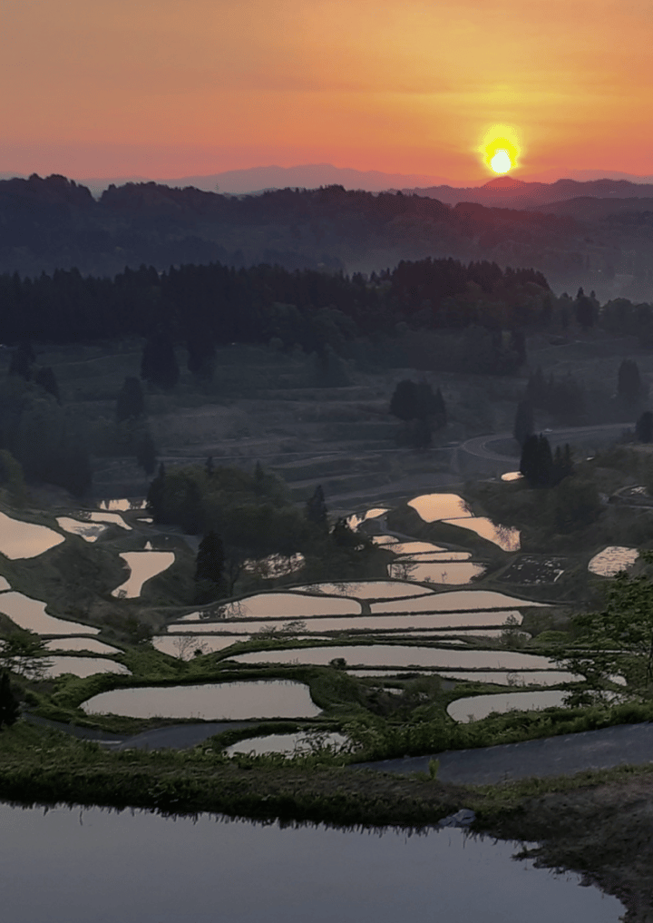 Niigata