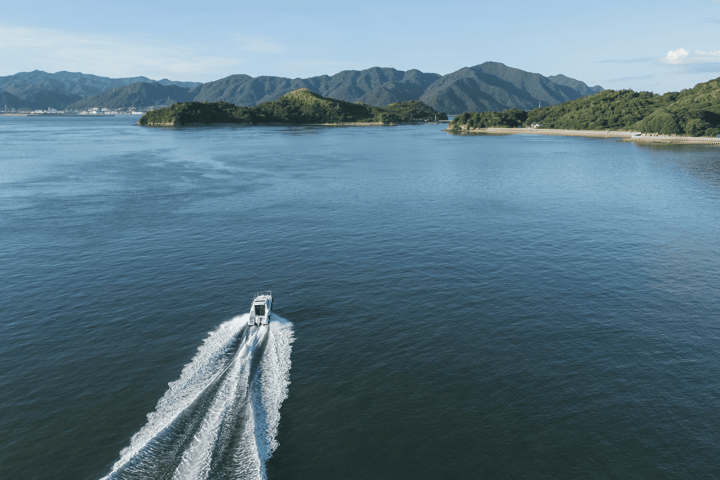 Boat & Cruise Tours