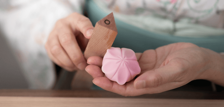 Wagashi Experiences