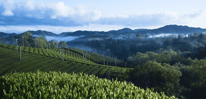 Quiet Escapes in Rural Japan