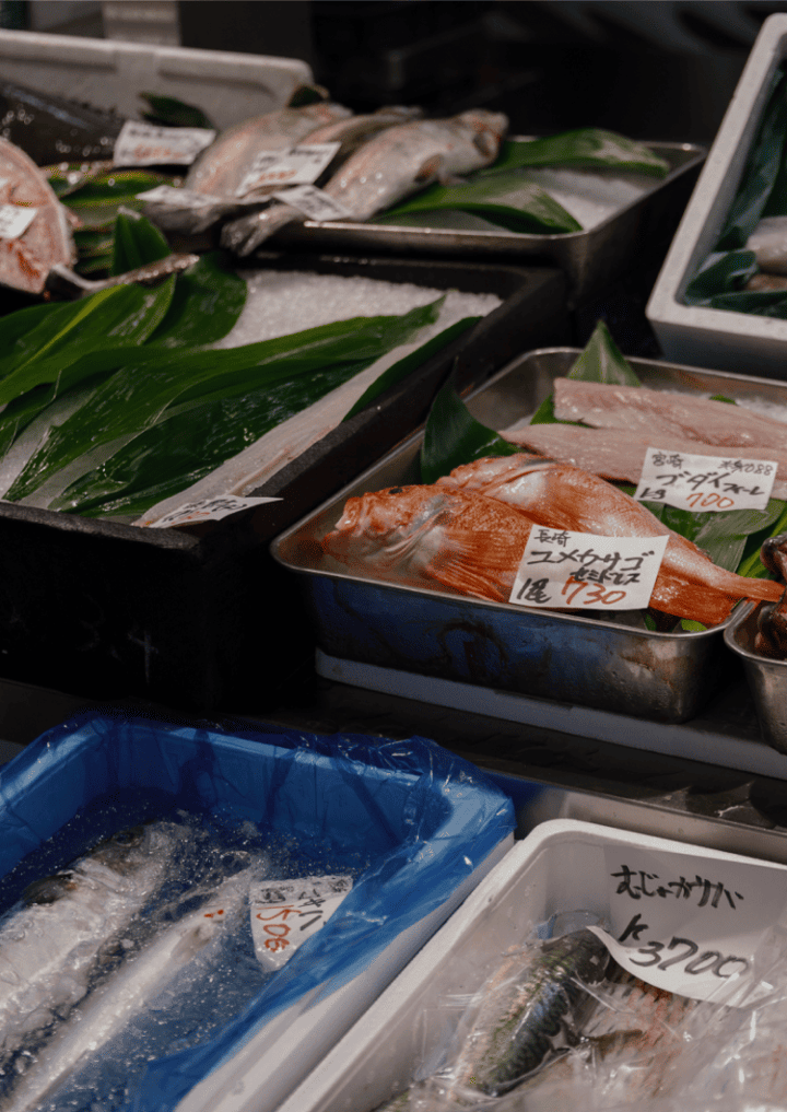 Food & Market Tours