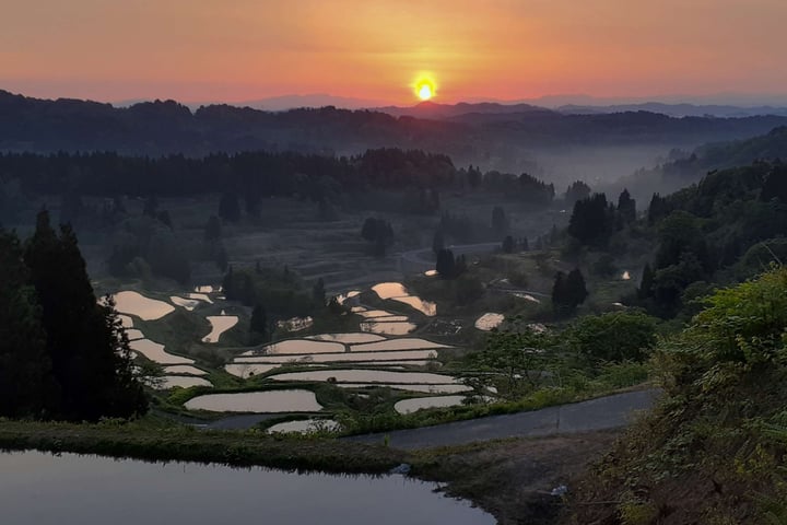 Niigata