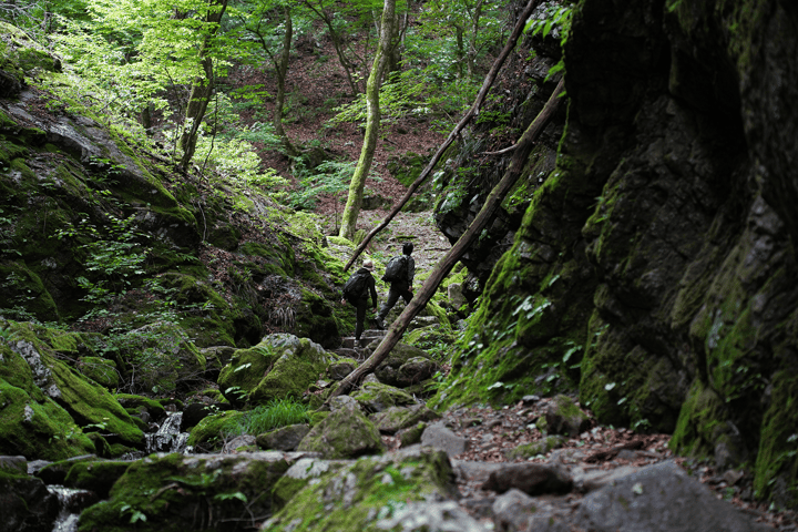 Hiking & Cycling