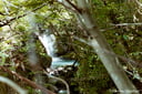 experience-image-14