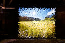 experience-image-5