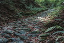 experience-image-5