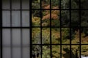 experience-image-16