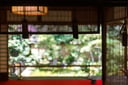 experience-image-5
