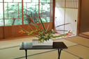 experience-image-20