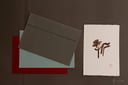 experience-image-3