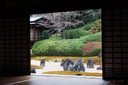 experience-image-10