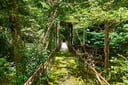 experience-image-6