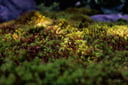 experience-image-16