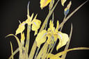experience-image-20