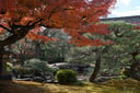 experience-image-4