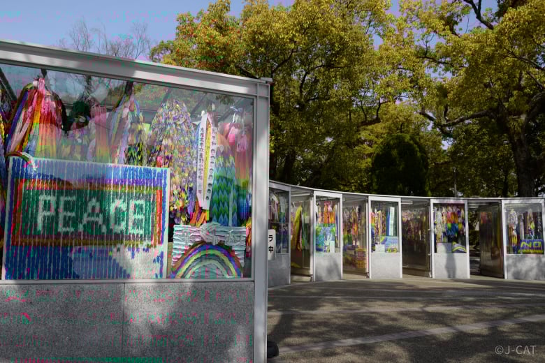 experience-image-3