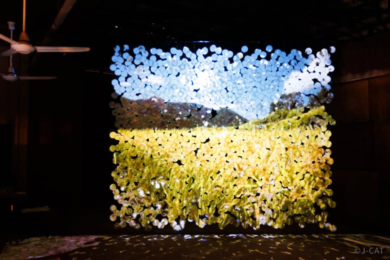 experience-image-5