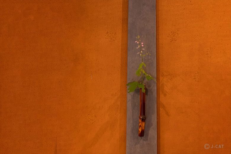 experience-image-7